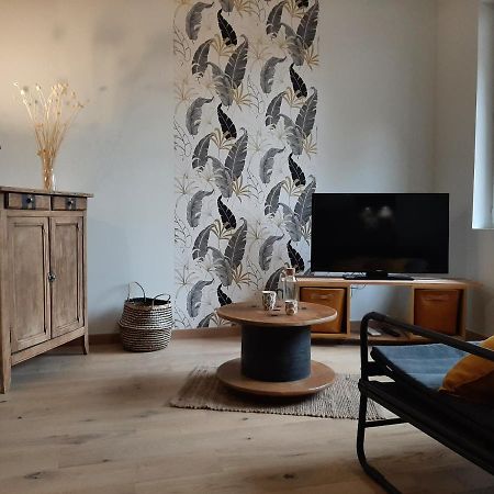 Louhans Les Petites Arcades Avec Ses Deux Appartements Cote Arcades Et Cote Cour Exteriör bild