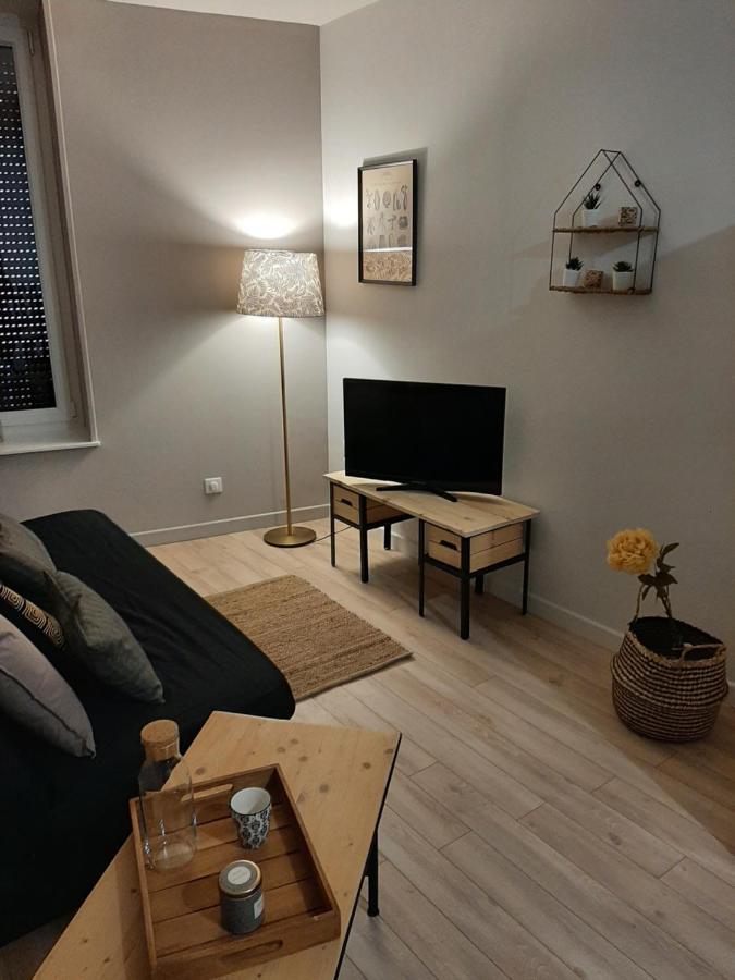 Louhans Les Petites Arcades Avec Ses Deux Appartements Cote Arcades Et Cote Cour Exteriör bild