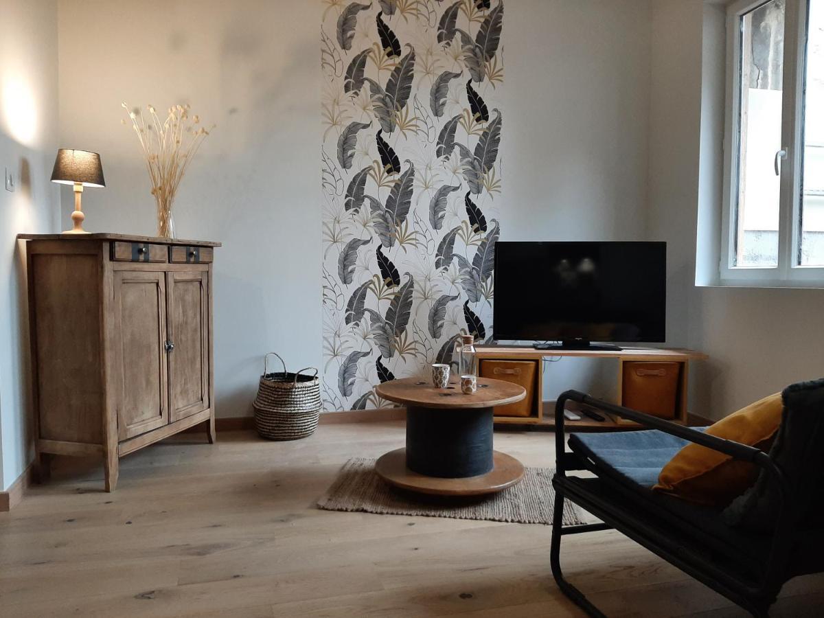 Louhans Les Petites Arcades Avec Ses Deux Appartements Cote Arcades Et Cote Cour Exteriör bild